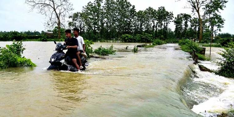 असम में बाढ़ से हाहाकार, चारों ओर पानी ही पानी