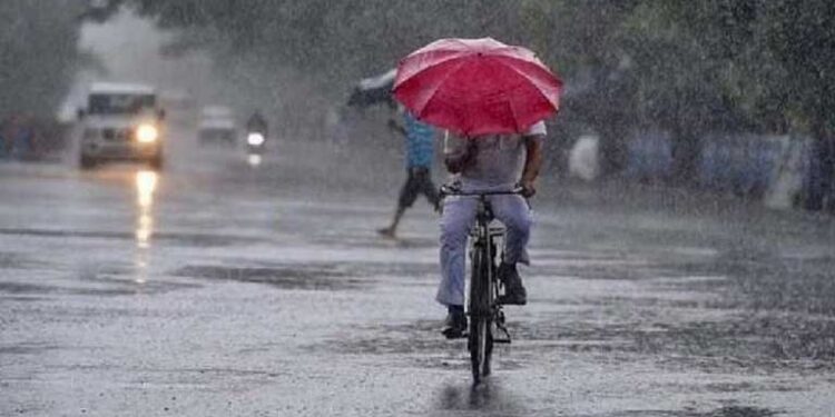 दिल्ली में बादल छाए रहने की उम्मीद , हल्की बारिश की भी संभावना