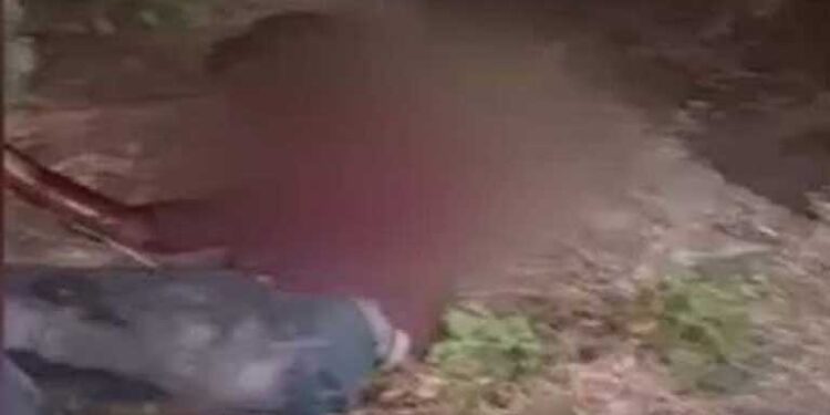 अब आंध्र प्रदेश में आदिवासी युवक के साथ बर्रबरता, मारपीट के बाद चेहरे पर किया पेशाब
