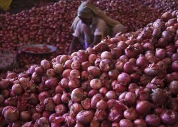 प्याज पर 31 दिसंबर तक 40 फीसदी एक्सपोर्ट ड्यूटी