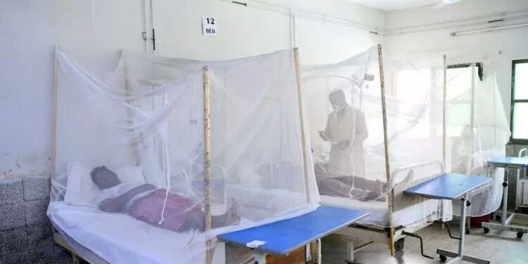 फीवर ठीक होने के बाद डेंगू की रिपोर्ट पॉजिटिव