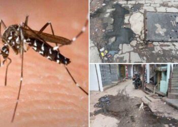 उत्तर प्रदेश के गोरखपुर में बढ़ा डेंगू का प्रकोप