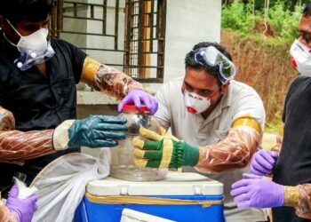 केरल में निपाह वायरस को लेकर अलर्ट