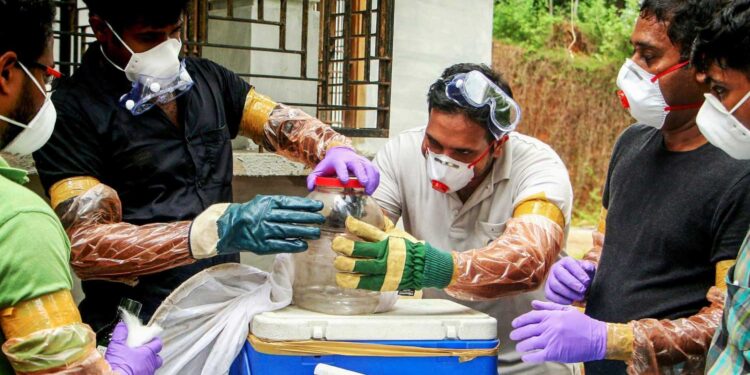 केरल में निपाह वायरस को लेकर अलर्ट