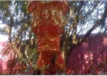 वैशाली में शक्ति के रूप में वृक्ष की पूजा