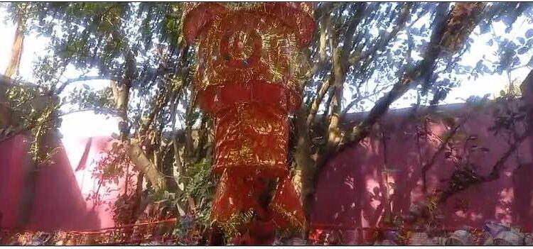 वैशाली में शक्ति के रूप में वृक्ष की पूजा