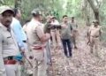 खटीमा में बाघ के हमले में बुजुर्ग महिला की मौत