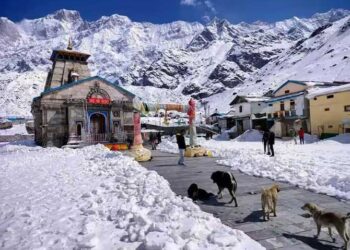 उत्तराखंड के बद्रीनाथ-केदारनाथ में लगातार बर्फबारी जारी