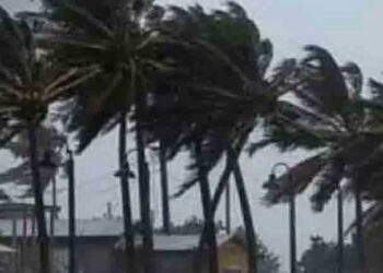 चक्रवात ‘मिचौंग’ का तांडव! चेन्नई में भारी बारिश