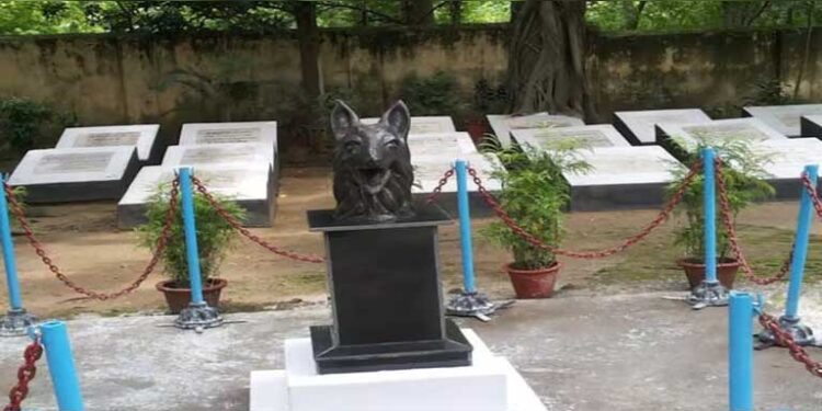 देश में कुत्तों का इकलौता स्मारक