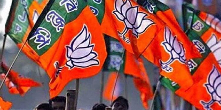 बीजेपी ने लोकसभा चुनावों के लिए घोषणा पत्र समिति बनाई