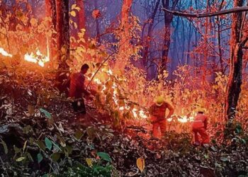 6 महीने से जंगल की आग में धधक रहा उत्तराखंड