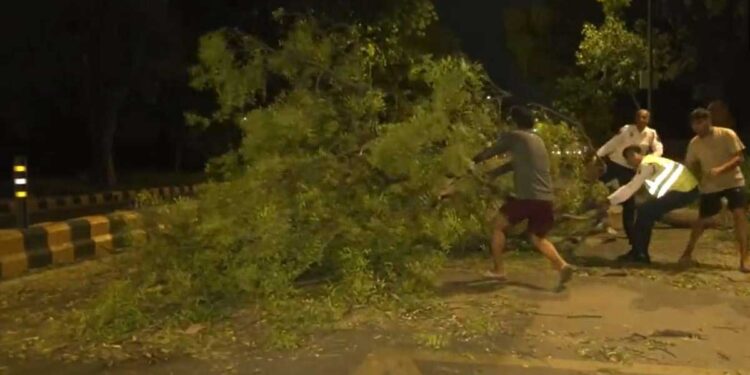 दिल्ली-एनसीआर में अचानक आई तेज आंधी से दो लोगों की मौत