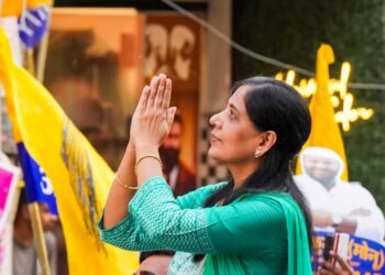 दिल्ली के मुख्यमंत्री राजनीतिक षड़यंत्र के शिकार