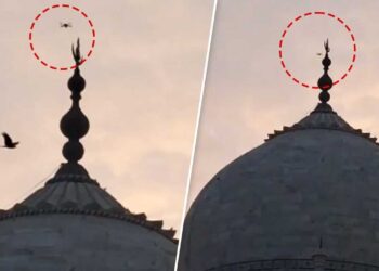 ताजमहल के ऊपर मंडराते ड्रोन का वीडियो वायरल, संयुक्त जांच समिति करेगी पड़ताल