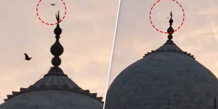 ताजमहल के ऊपर मंडराते ड्रोन का वीडियो वायरल, संयुक्त जांच समिति करेगी पड़ताल