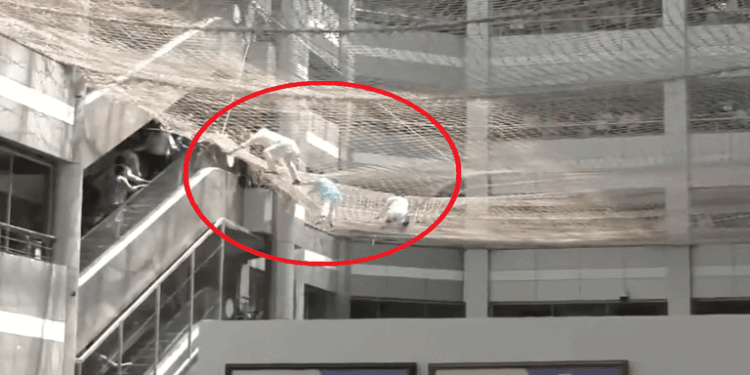 डिप्टी स्पीकर नरहरि झिरवाल महाराष्ट्र मंत्रालय की तीसरी मंजिल से कूदे