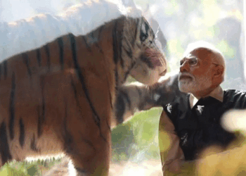 PM Narendra Modi inaugurated and visited the wildlife rescue, rehabilitation, and conservation centre Vantara in Gujarat