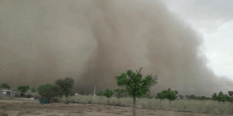 चक्रवात मोंथा से तबाही, आंध्र-ओडिशा में भारी नुकसान