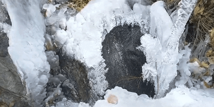 गंगोत्री नेशनल पार्क में ठंड का असर, बर्फ में तब्दील हुआ पानी