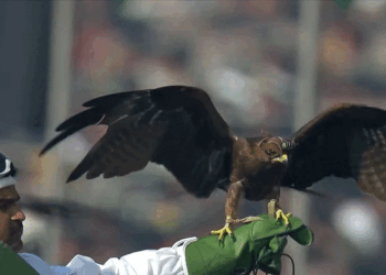 गणतंत्र दिवस परेड में पहली बार पशुओं ने किया मार्च