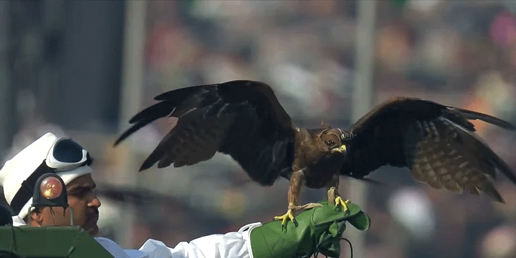 गणतंत्र दिवस परेड में पहली बार पशुओं ने किया मार्च