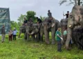 WORLD ELEPHANT DAY: VANTARA EXPANDS ITS ELEPHANT WELFARE OUTREACH ACROSS INDIA AND GLOBALLY