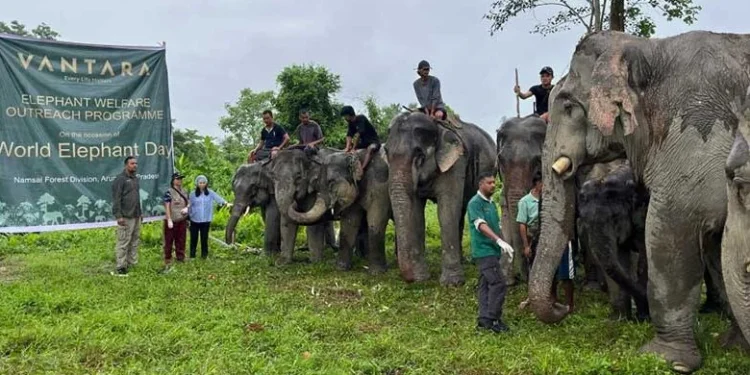 WORLD ELEPHANT DAY: VANTARA EXPANDS ITS ELEPHANT WELFARE OUTREACH ACROSS INDIA AND GLOBALLY