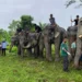 WORLD ELEPHANT DAY: VANTARA EXPANDS ITS ELEPHANT WELFARE OUTREACH ACROSS INDIA AND GLOBALLY