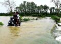 آسام میں سیلاب سے  10 ہزار ہیکٹیئر سے زیادہ فصلیں تباہ