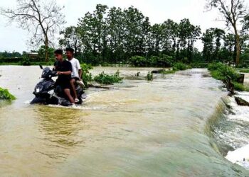 آسام میں سیلاب سے  10 ہزار ہیکٹیئر سے زیادہ فصلیں تباہ