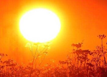 گرمی کی شدید لہر سے تقریباً 100 افراد ہلاک