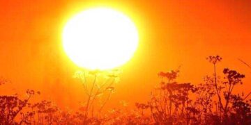 گرمی کی شدید لہر سے تقریباً 100 افراد ہلاک