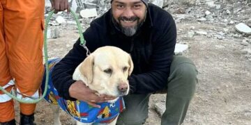 ترکی میں زلزلہ کے بعد 6 سالہ بچی کی جان بچانے والی ’لیبراڈور جولی‘ کو اعزاز
