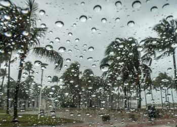 آخرکار کیرالہ پہنچا مانسون، ہفتہ بھر کی ہوئی تاخیر