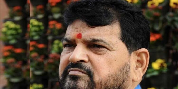 پہلوان انصاف کے لیے سراپا احتجاج، برج بھوشن لوک سبھا انتخابات کی تیاریوں میں مصروف! بی جے پی کی ریلی سے کریں گے خطاب