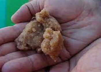 راجستھان میں ’پرساد‘ کھانے کے بعد 300 سے زیادہ لوگ ہوئے بیمار