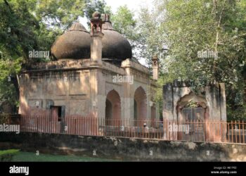 مغل مسجد معاملہ میں دہلی وقف بورڈ کی انتظامی کمیٹی کی عرضی پر سماعت