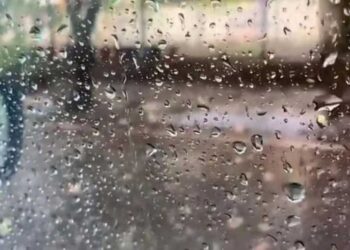 بہار، جھارکھنڈ، اڈیشہ،یوپی اور گوا میں بھاری بارش کا الرٹ