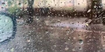 بہار، جھارکھنڈ، اڈیشہ،یوپی اور گوا میں بھاری بارش کا الرٹ