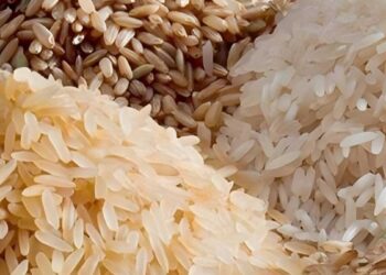 بڑھتی قیمتوں پر قابو پانے کے لئے چاول کی برآمد پر پابندی عائدکرنے کا فیصلہ