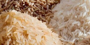 بڑھتی قیمتوں پر قابو پانے کے لئے چاول کی برآمد پر پابندی عائدکرنے کا فیصلہ
