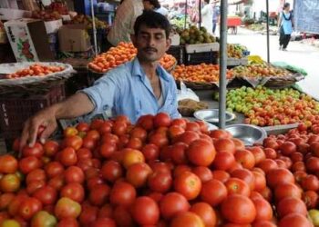 ٹماٹر 80 روپے فی کلو فروخت کرنے کا فیصلہ