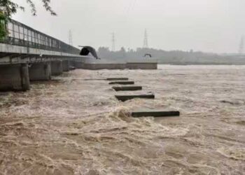 یمنا خطرے کی سطح سے اوپر، دہلی میں ہائی الرٹ