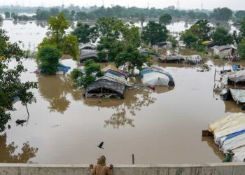 سیلاب سے متاثرہ لوگوں کو معاضہ فراہم کیا جائے
