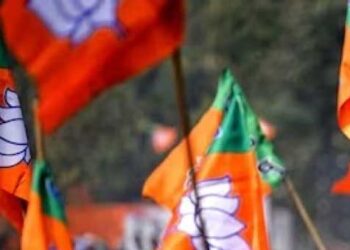 مدھیہ پردیش اور چھتیس گڑھ اسمبلی انتخابات کے لئے بی جے پی کی سرگرمیاں تیز
