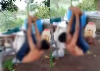 مہاراشٹر میں تین دلت نوجوانوں کو درخت پر الٹا لٹکا کر بے رحمی سے پیٹاگیا