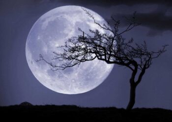 ہندووستانی بیٹی نے اپنی ماں ا ور بیٹی کیلئے چاند پر خریدی زمین