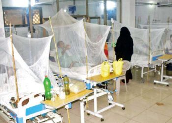 جھارکھنڈ میں ڈینگو اور چکن گنیا کی وباء