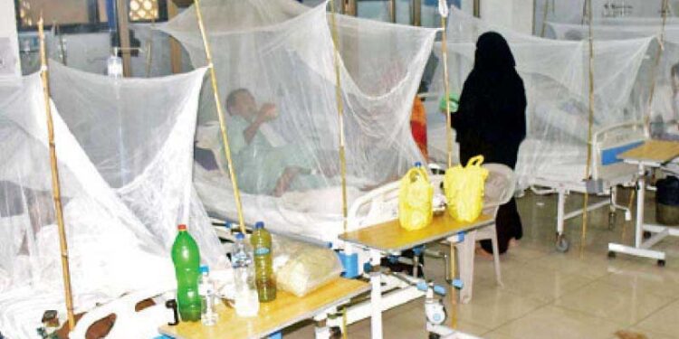 جھارکھنڈ میں ڈینگو اور چکن گنیا کی وباء